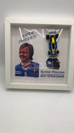 March 761/Ford-Cosworth 1976 Ronnie Perterson 1/43. Modello in quadro. Dimensioni del quadretto 25,5 x 25,5 cm - scala 1:43