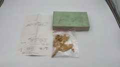 Vami Models Focke Wulf 1/72 - scala 1:72